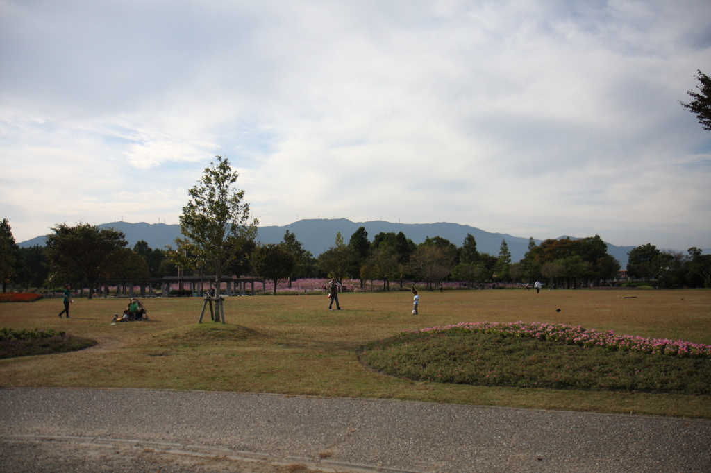 公園のひととき