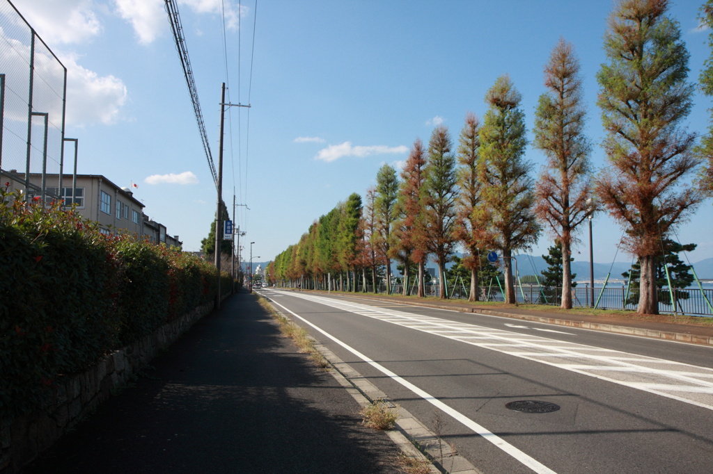 湖側道路