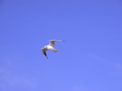 潮風