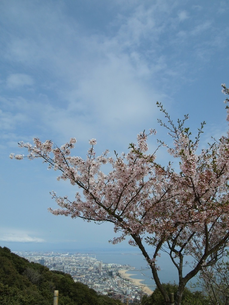 高台