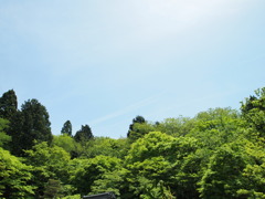良い天気♪