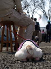 もういやや