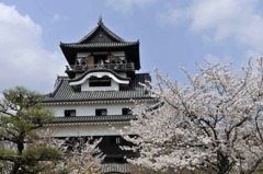 犬山城 