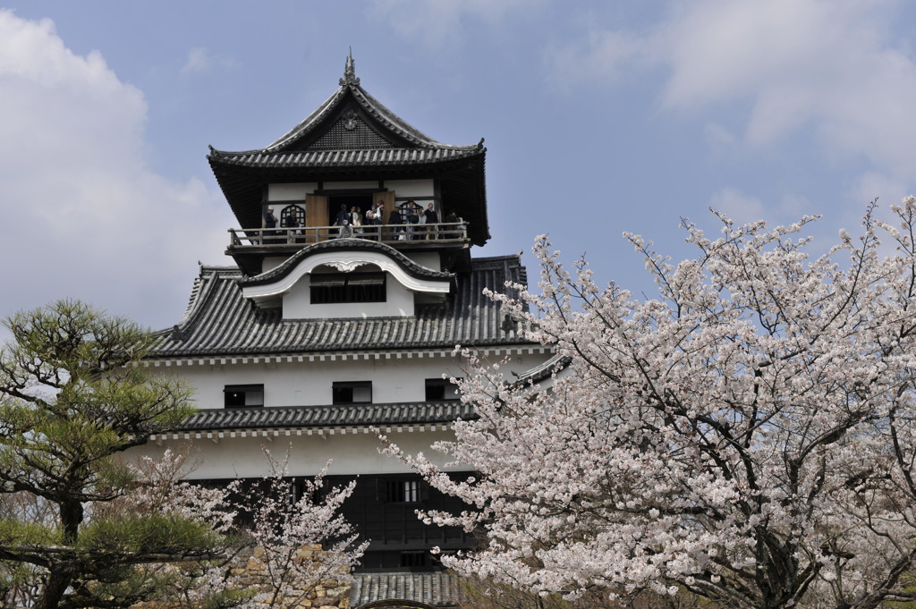 犬山城