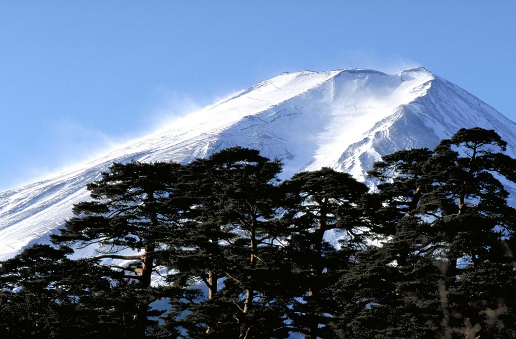 ３月諏訪の森