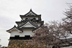 彦根城 