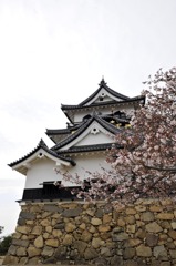 彦根城 