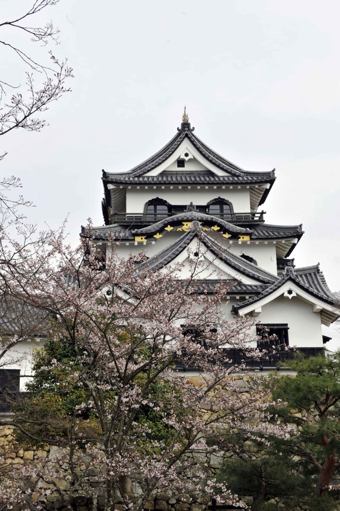 彦根城 