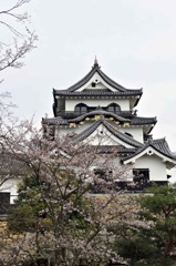 彦根城 