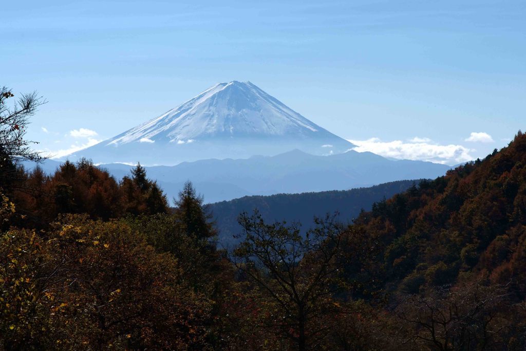 11月塩沢