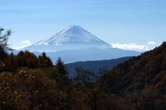 11月塩沢