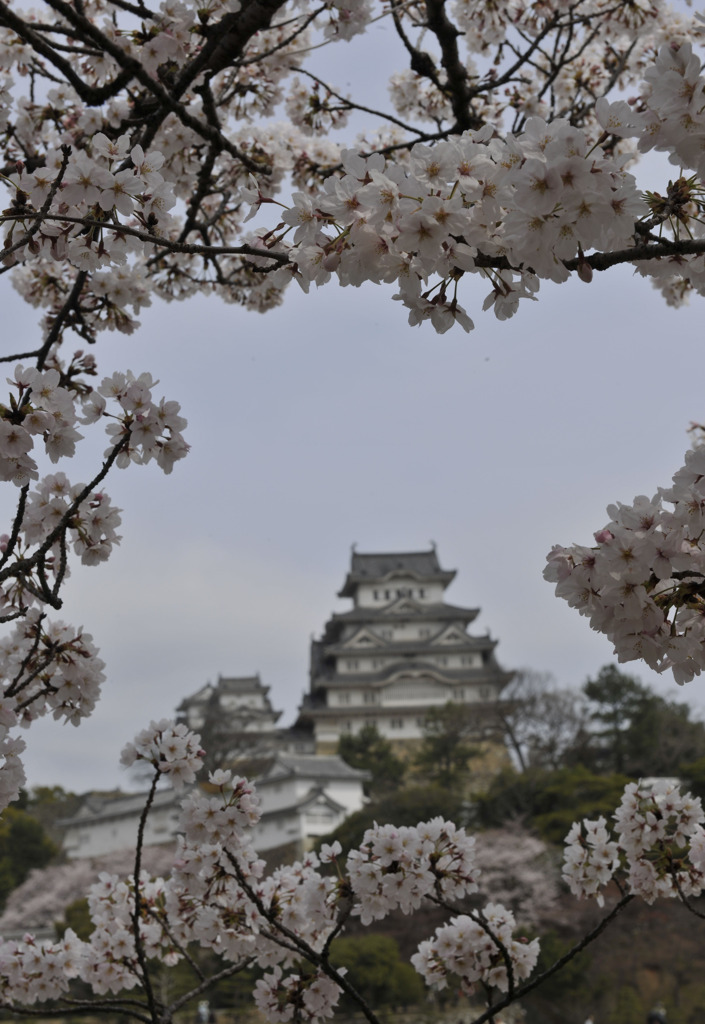 姫路城 
