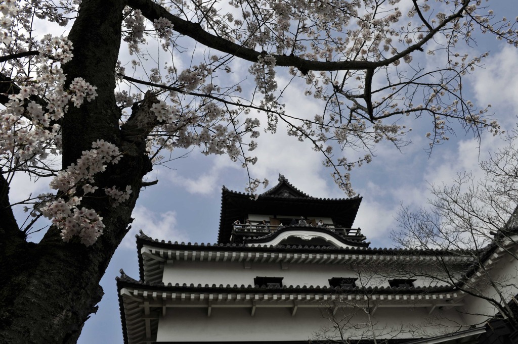 犬山城 