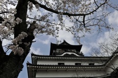 犬山城 