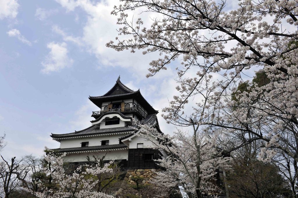 犬山城 
