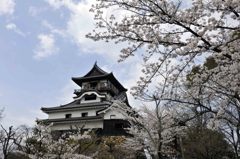 犬山城 