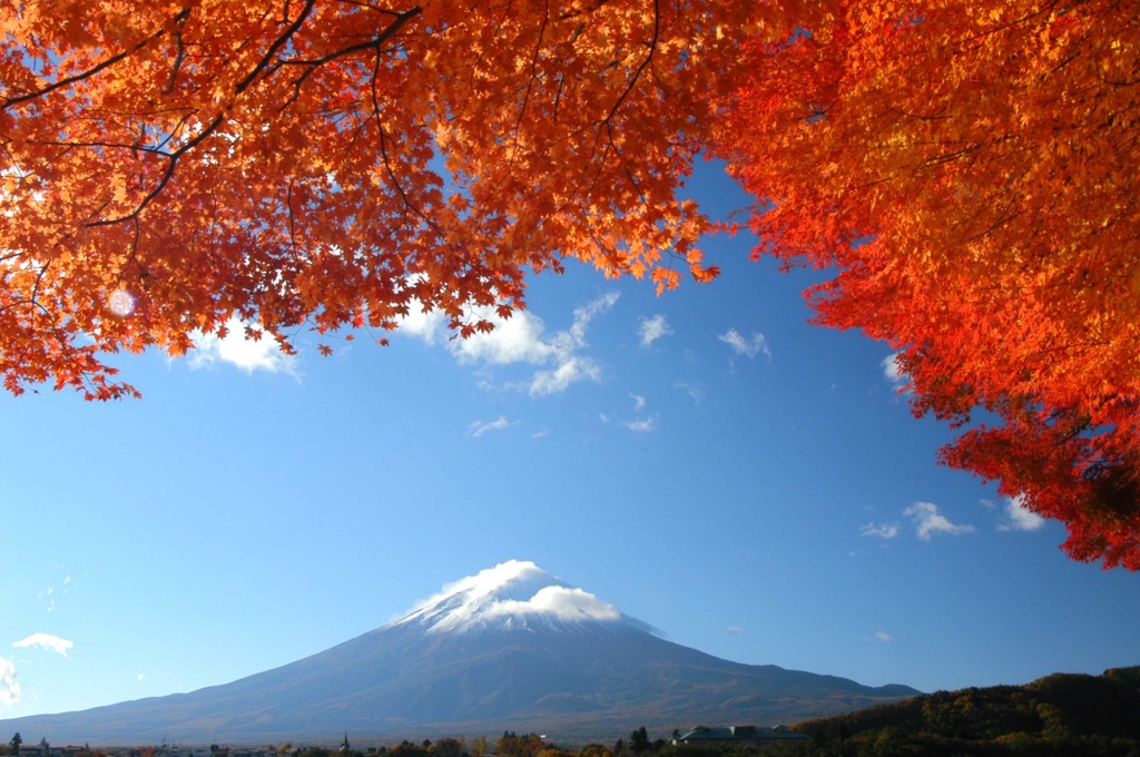 11月河口湖畔紅葉