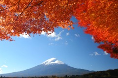 11月河口湖畔紅葉