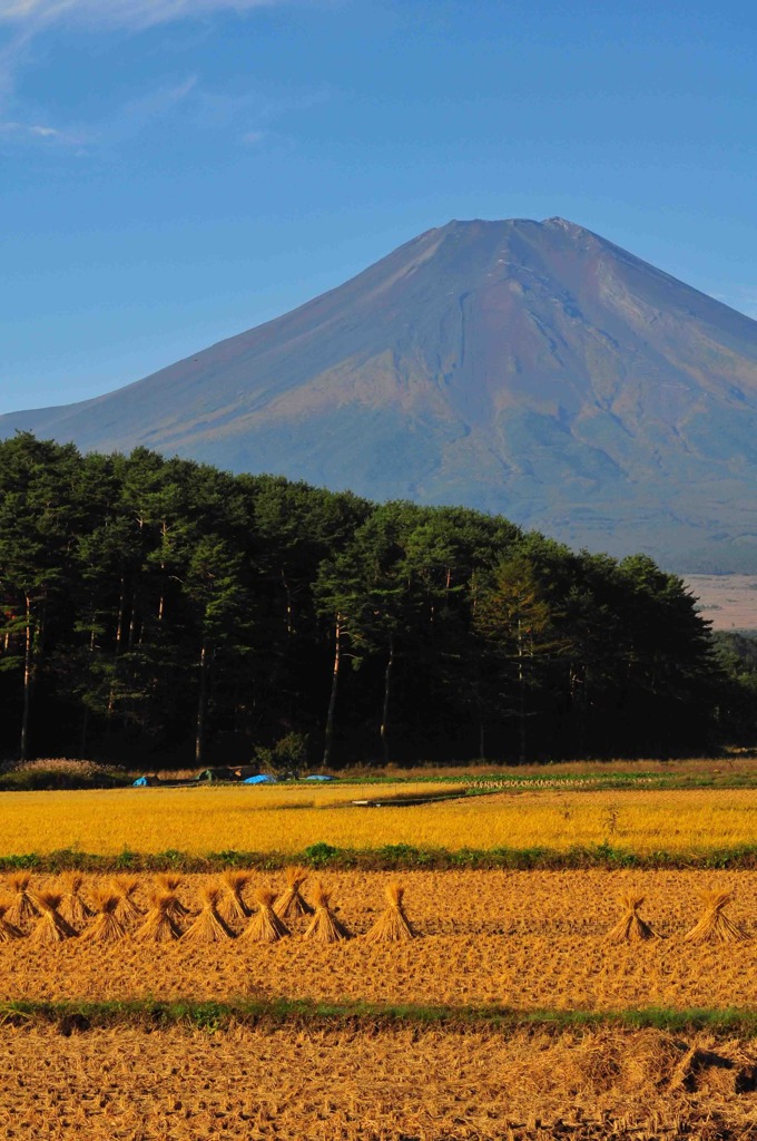 10月忍野