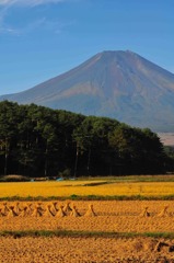 10月忍野