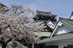 岡崎城