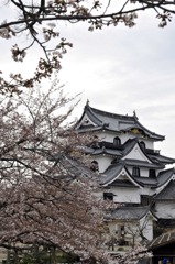 彦根城