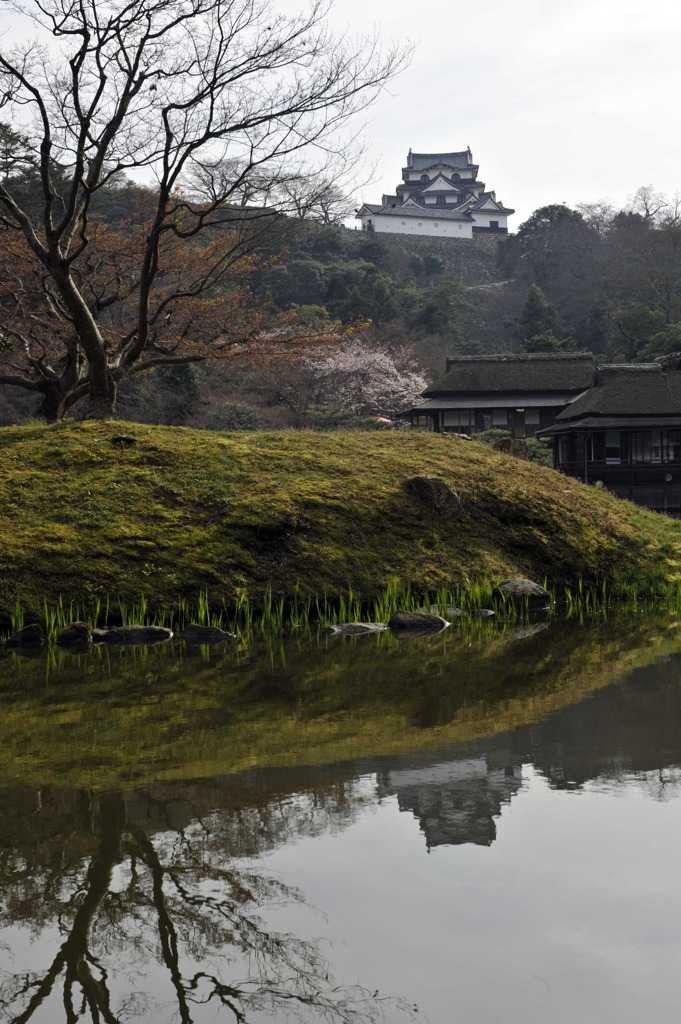 彦根城 