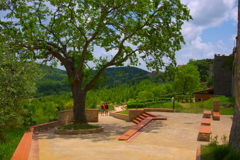 Chianti couple