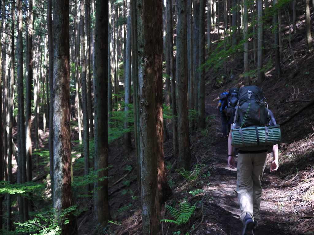 雲取山 登山口付近