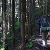 雲取山 登山口付近