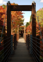 autumn gate