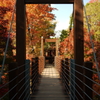 autumn gate