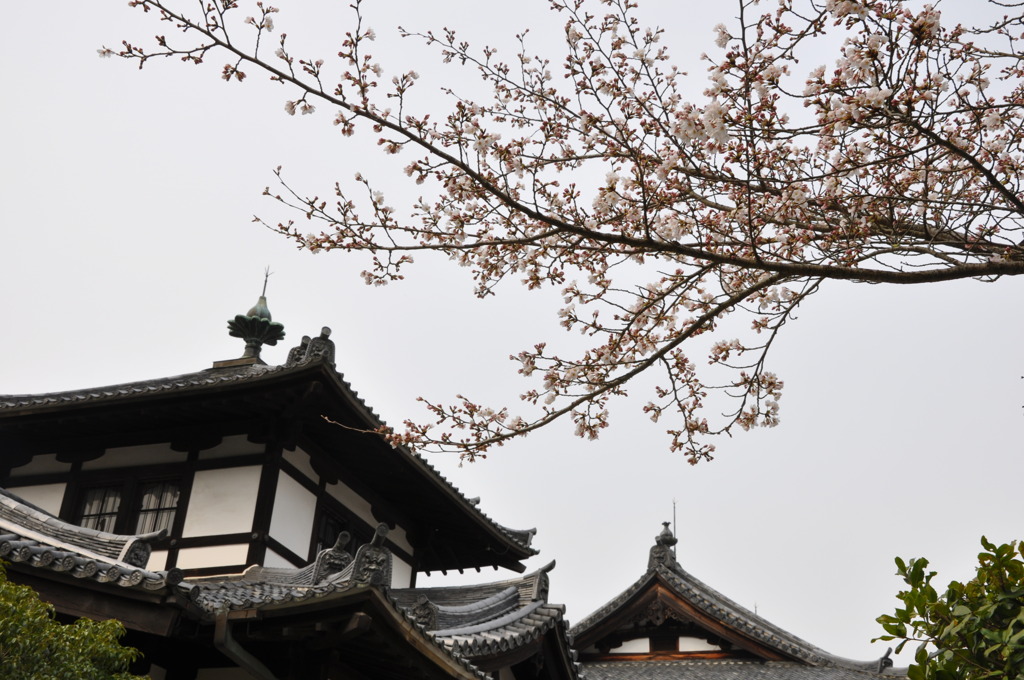 奈良国立博物館