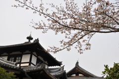 奈良国立博物館