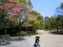 初めての大阪城