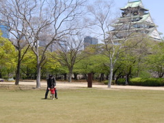 息子と