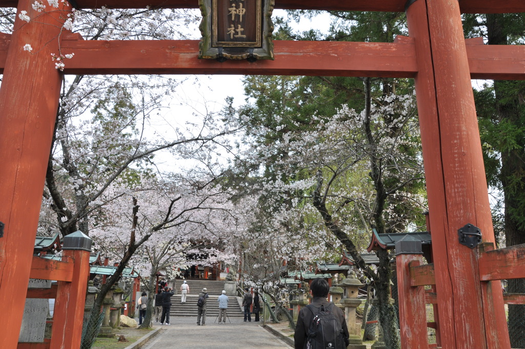 氷室神社