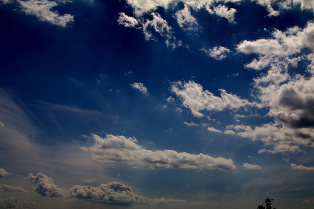 SKY*