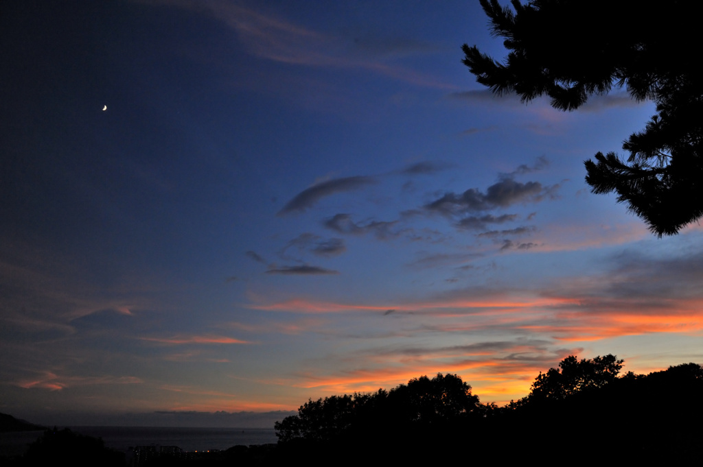 夕焼月