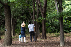 あっ、あそこに啼いているわ