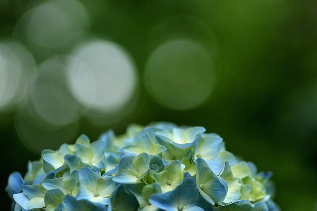 これから・・・