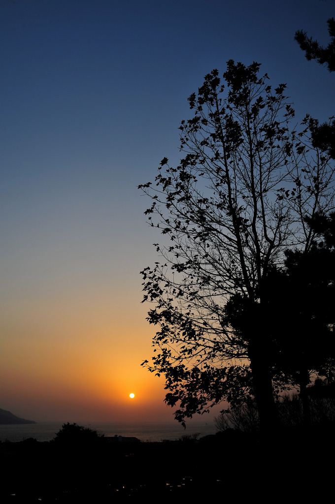 舞子墓苑の夕日