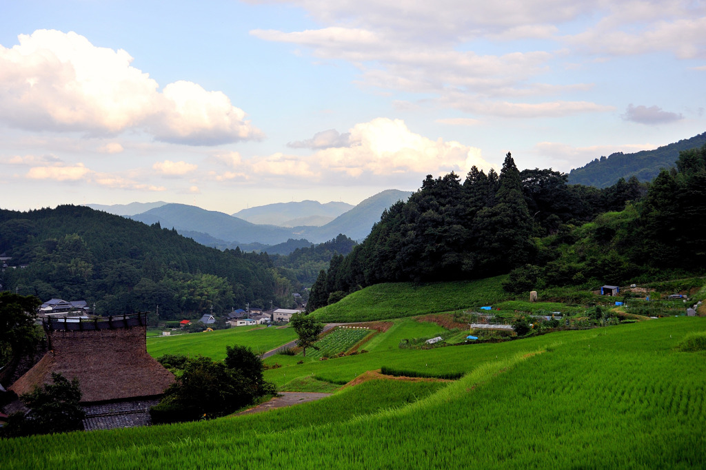 能勢の里山