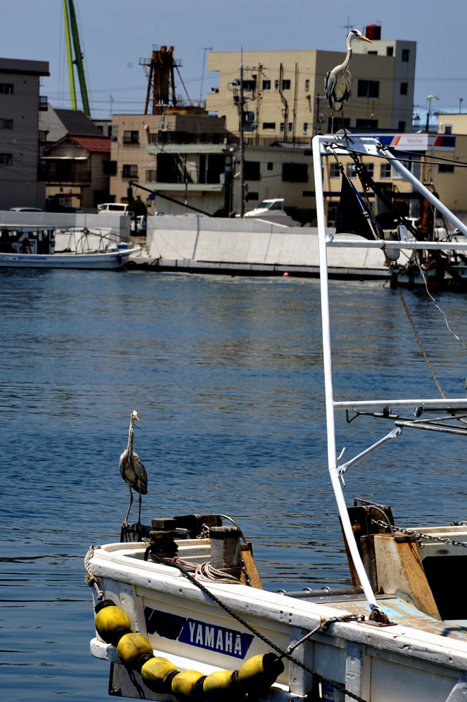 おこぼれはまだかなぁ～