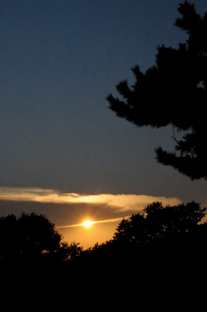 夕日を切る