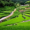 井仁棚田2