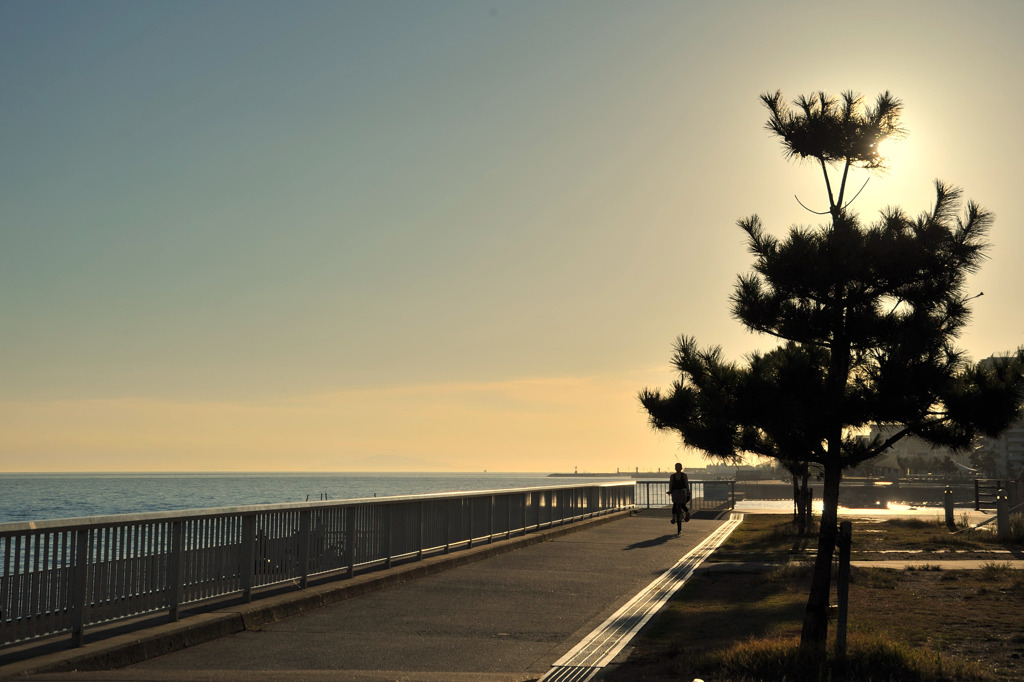 晩夏光