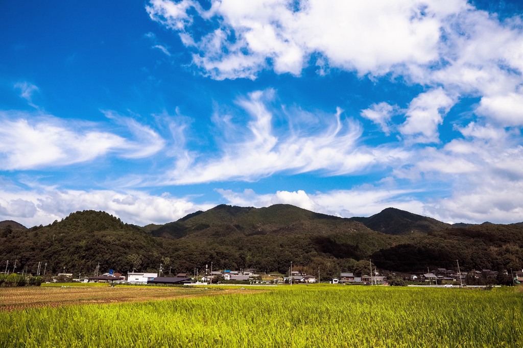 秋晴れ