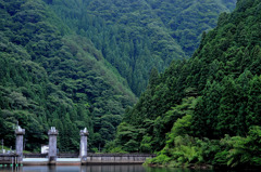 深山