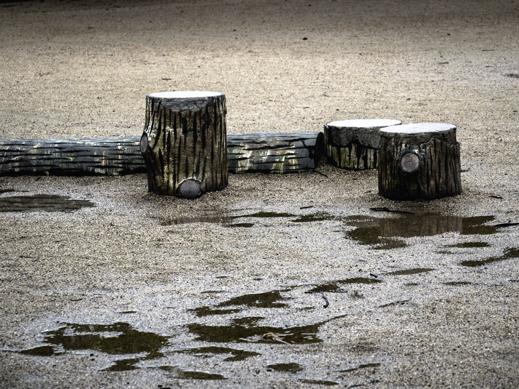 雨上がりの公園